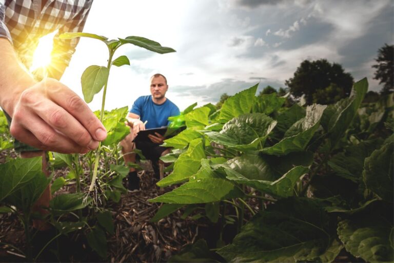 Secretário de Agricultura de São Paulo anuncia R$ 100 milhões para Seguro Rural estadual