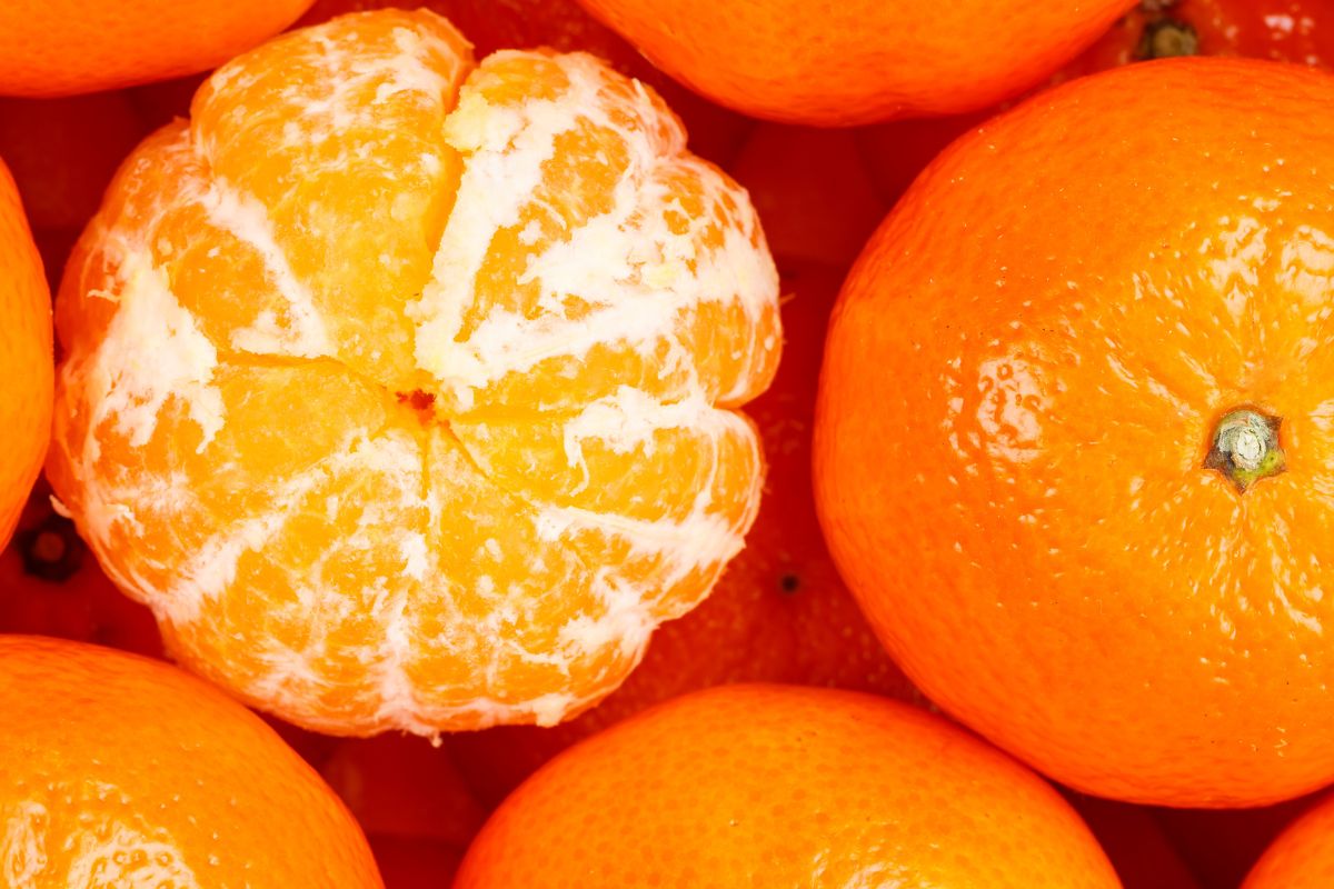 Foto: Adobe Stock