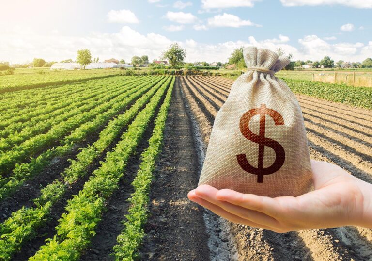 Dólar em alta reforça o sinal de alerta no campo