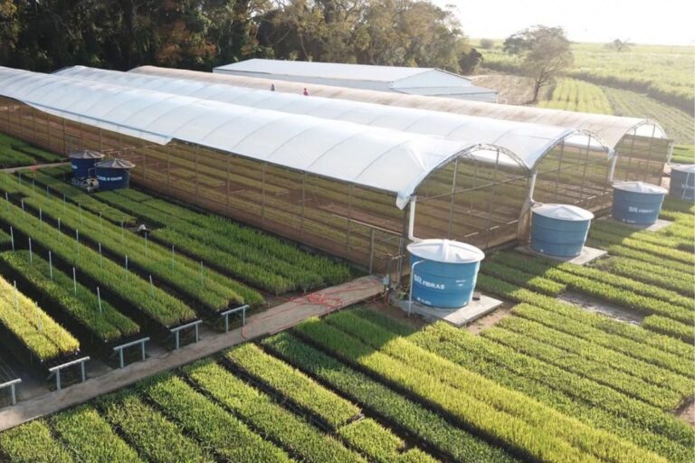 Cachaça sustentável, minitomates e salada pronta: saiba o que a agricultura familiar levou para a Agrishow 2024