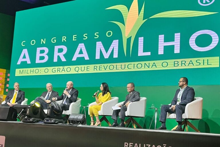 Milho: setor cobra plano safra “agressivo” e mais recursos para armazenagem