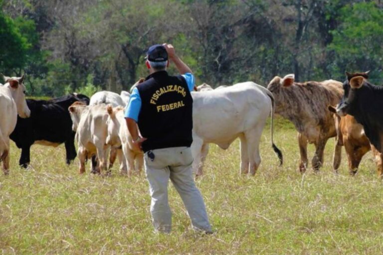 Auditores agropecuários aceitam proposta de reestruturação de carreira