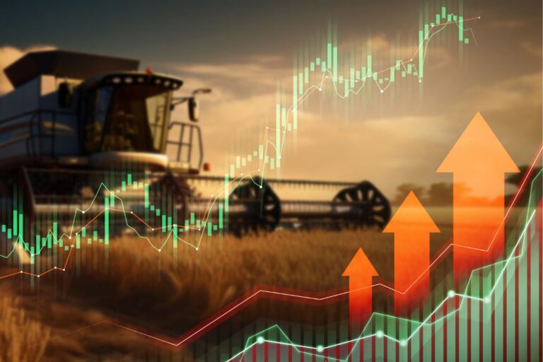 Grãos e pecuária: mercado reage à possíveis perdas no Rio Grande do Sul