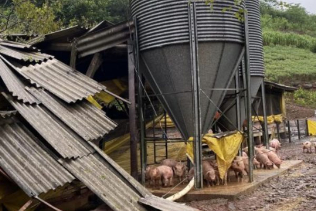 Foto: ACSURS/Divulgação