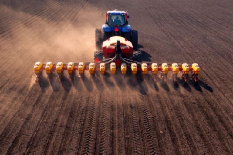 Soja: Agricultura ajusta Zoneamento Agrícola a calendário de plantio