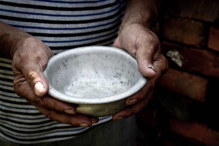 A ciência agropecuária como um dos pilares no combate à insegurança alimentar e à fome