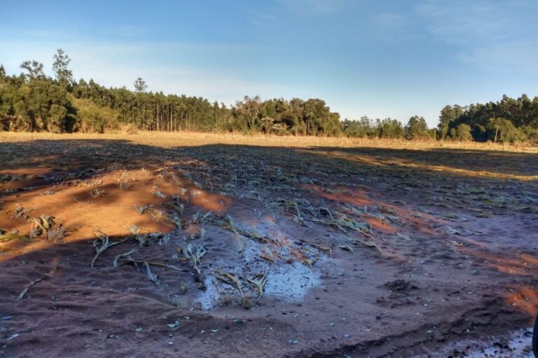 Agricultura familiar: FETAG pede suspensão dos pagamentos em 2024