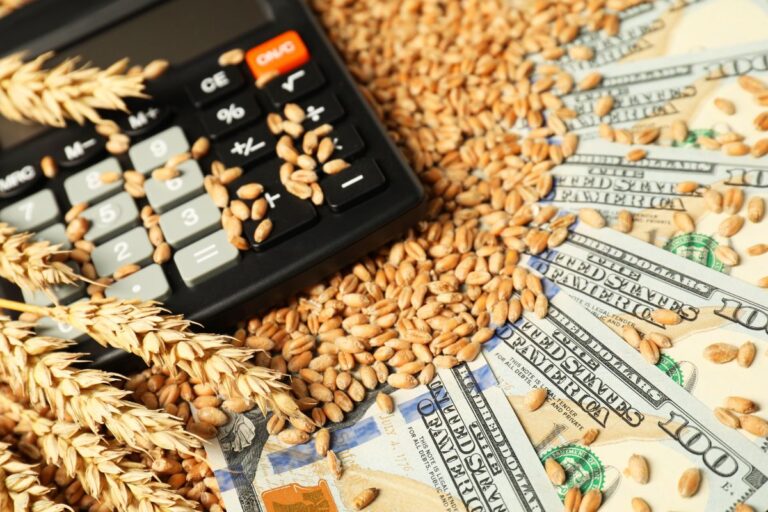 Agro: 5 pontos para ficar de olho em maio