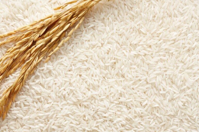 Entidades de SC pedem suspensão de leilão para compra de arroz