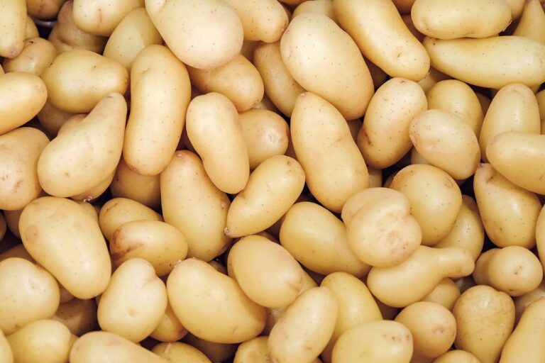 Preço da batata cai no atacado pelo segundo mês seguido em abril, mostra Conab