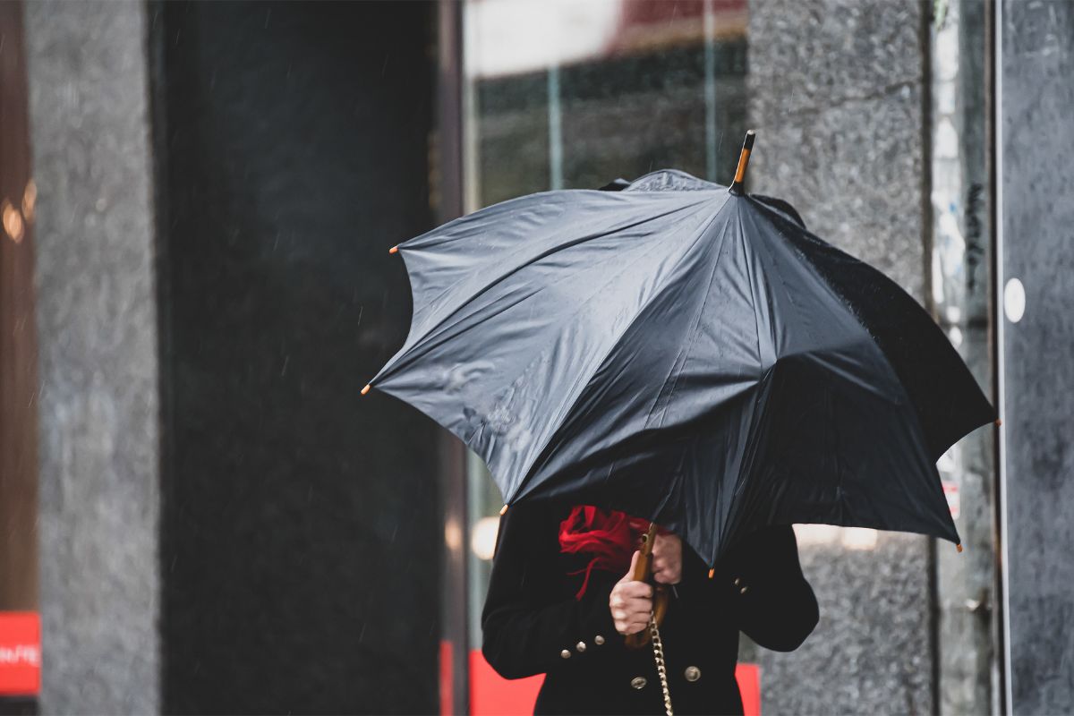 Foto: Adobe Stock