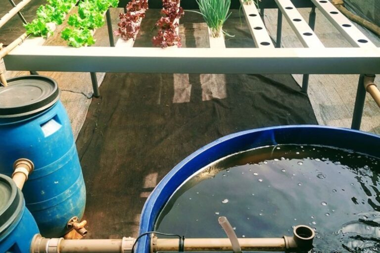 FAESP prepara plano para incentivar agricultura urbana