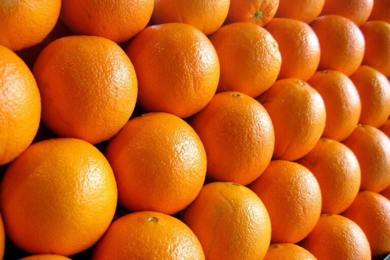 Preço da laranja segue em queda, aponta Cepea