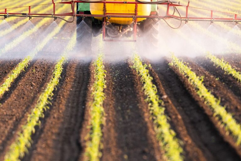 Lei dos pesticidas: derrubada parcial de vetos é boa para o agro e o Brasil