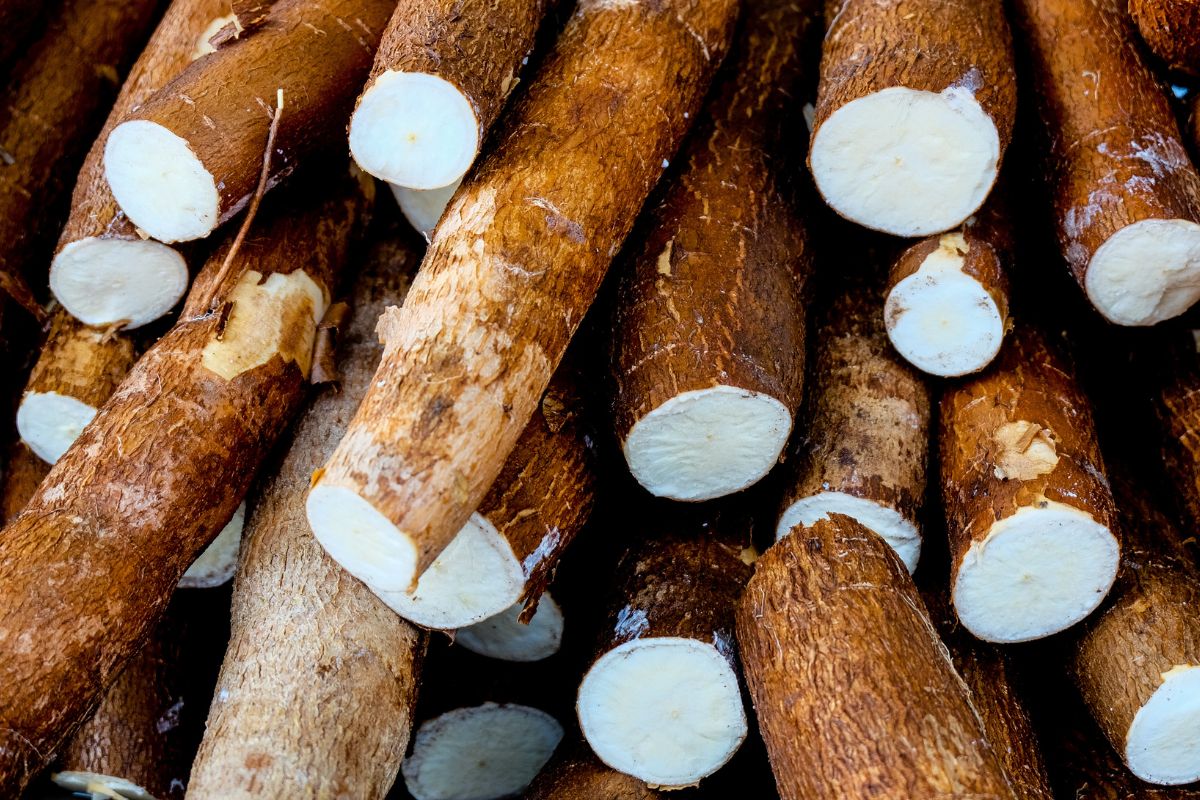 Foto: Adobe Stock