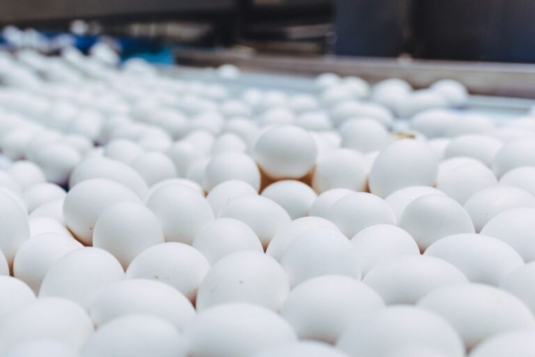 Ovos: poder de compra dos avicultores diminui em abril