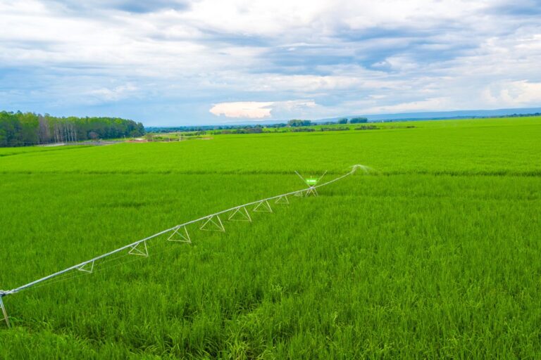 Aumento de área irrigada e produtividade: soluções para irrigação são apresentadas na Agrishow 2024