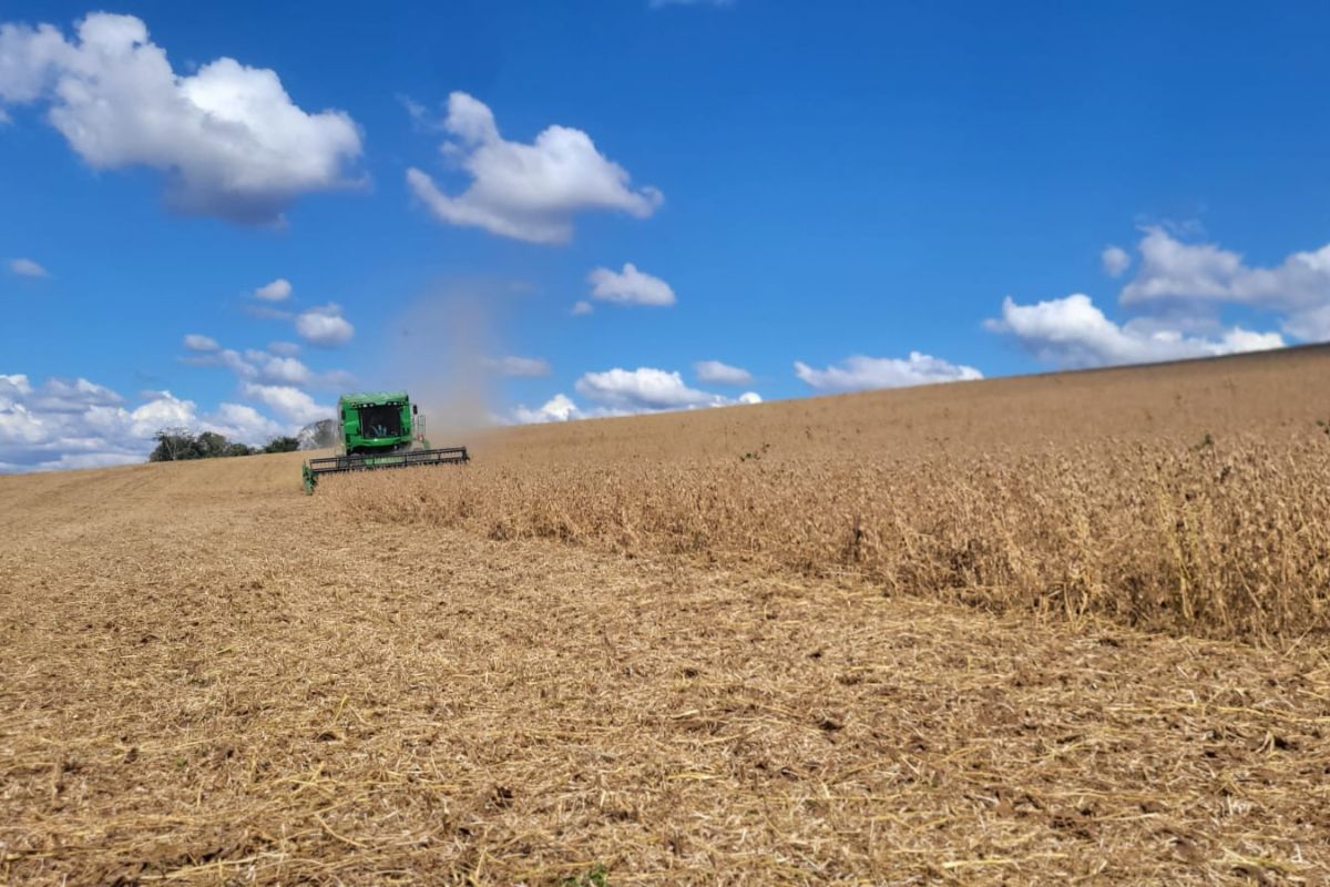 Foto: Agro Estadão