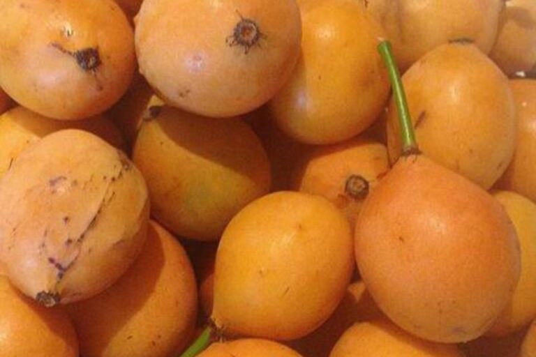 Achachairu: a fruta que virou receita de família