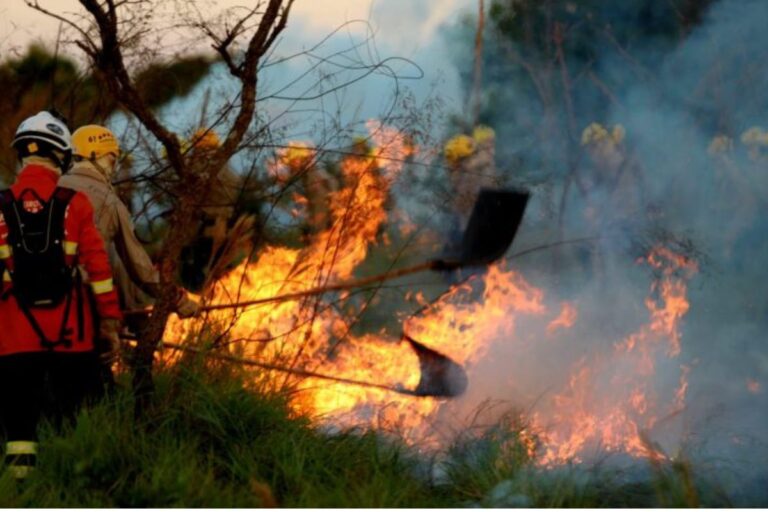 Queimadas no Pantanal: prejuízos no agro superam R$ 17 milhões