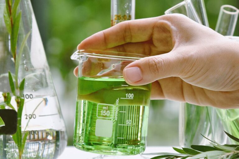 Bioinsumos: vendas crescem 15% no Brasil