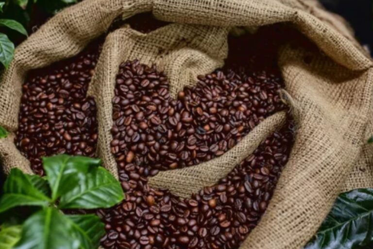 Brasil bate recorde de exportações de café e fica perto de novo patamar histórico