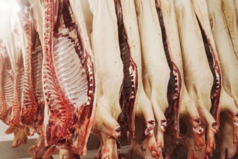Demanda eleva preços da carne suína enquanto cortes bovinos de menor valor registram alta 