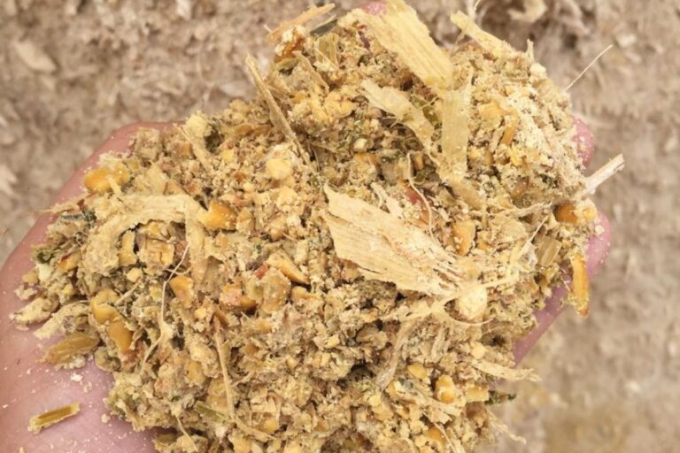 “Snaplage”: inovação nutricional na pecuária de corte e leite