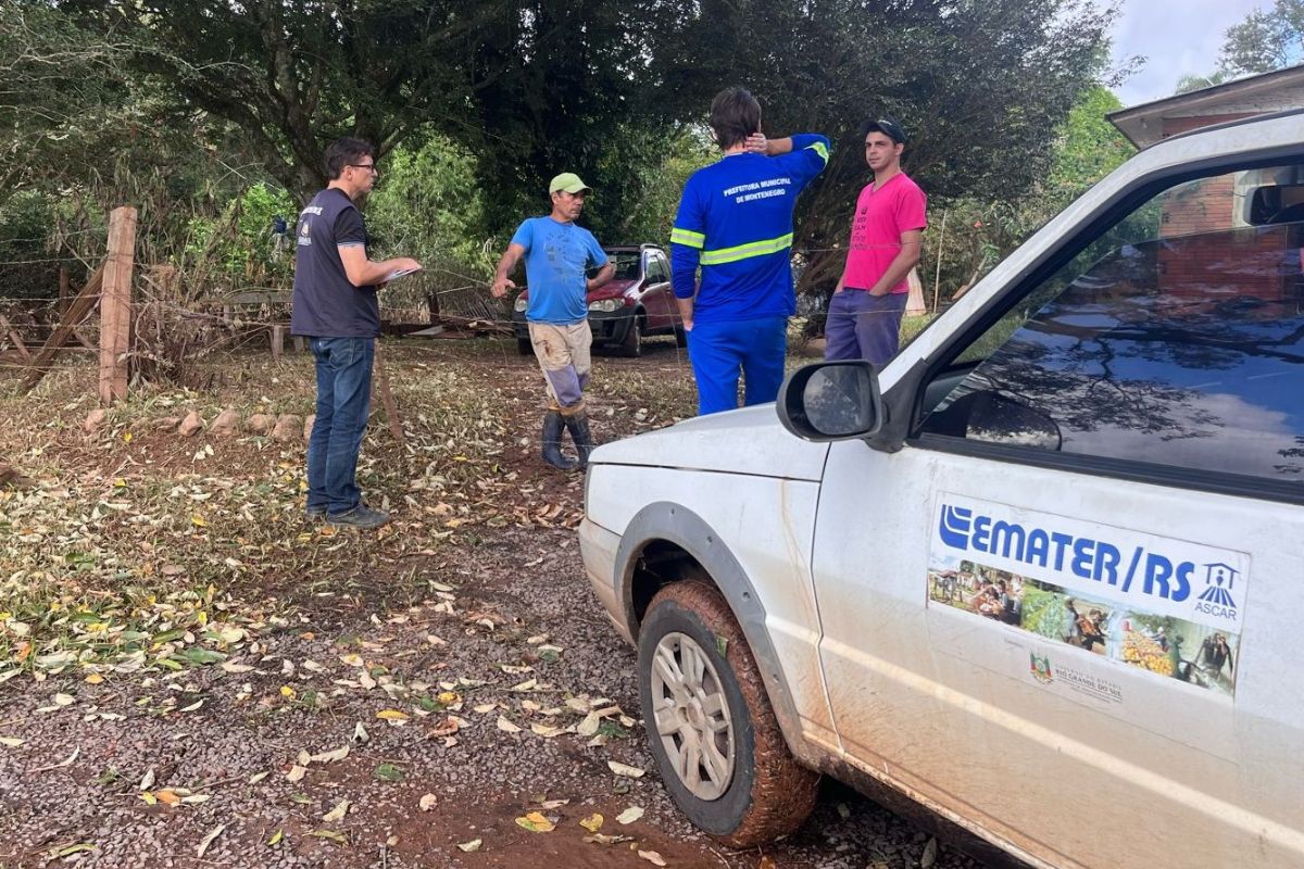 Equipe da Emater/RS avaliando danos na produção rural. Foto: Paulo Ricardo Sartori/Emater/RS-Ascar