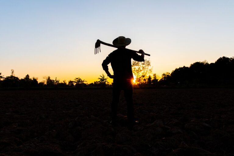 MDA amplia validade de declarações de aptidão ao Pronaf para agricultores do RS