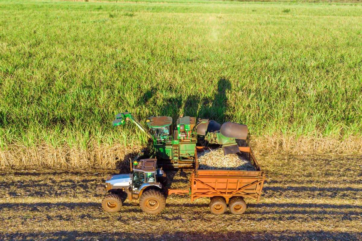 Foto: Adobe Stock