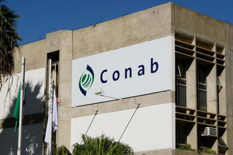 Conab estima safra de arroz maior e contraria previsão do governo sobre falta do produto