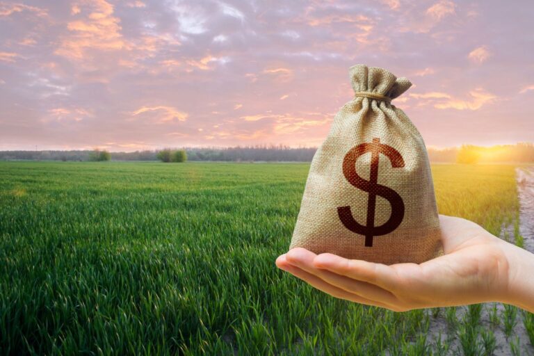 Política Agrícola: novos planos, ideias velhas
