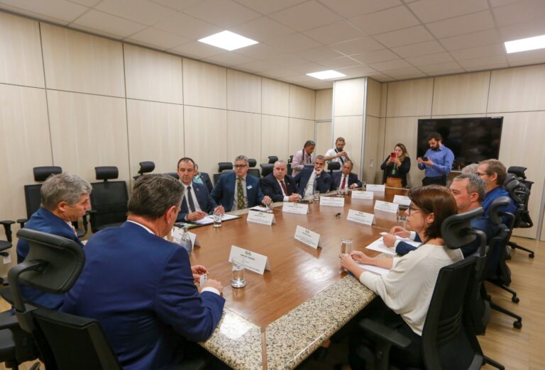 Federarroz: “não existe garantia de que vai acontecer o leilão”