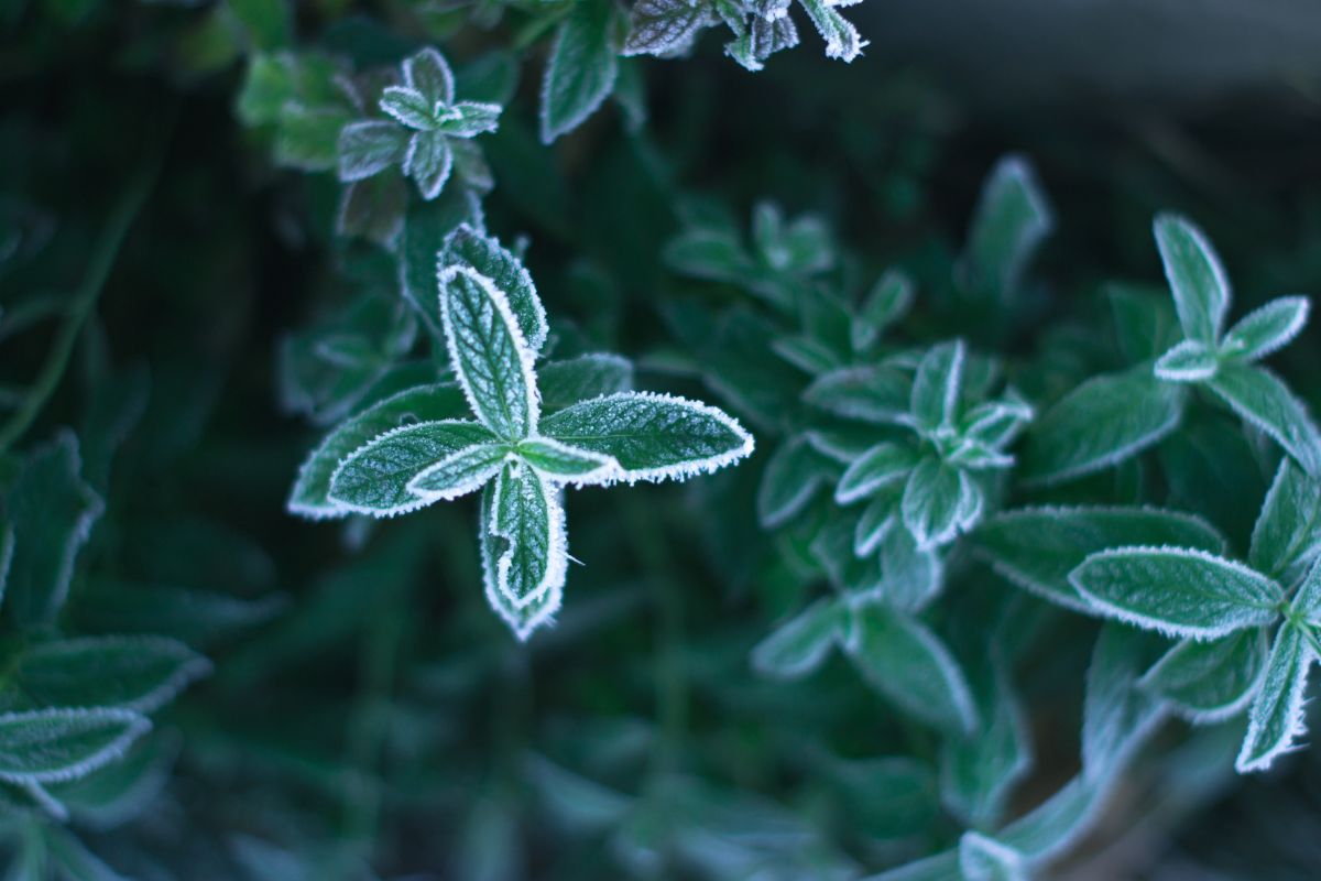 Foto: Adobe Stock