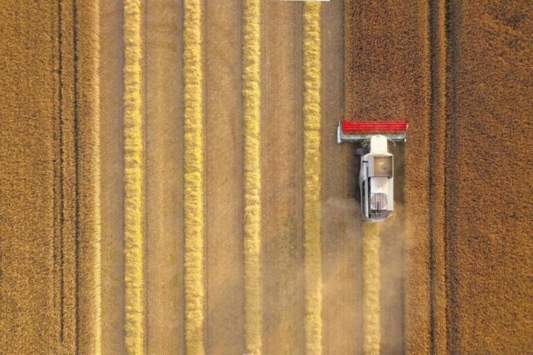 Política Agrícola: novidades regulatórias