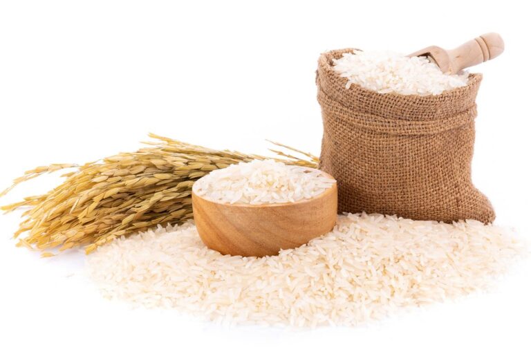 Conab estima 10,395 mil toneladas de arroz;  3,6% mais que na última safra