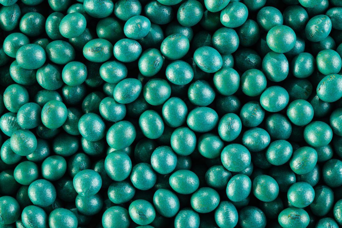 Sementes tratadas com bionematicida. Foto: BASF/Divulgação