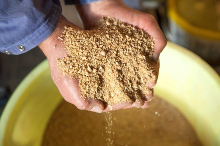 Farelo de soja recupera perdas e registra níveis de preço vistos em abril