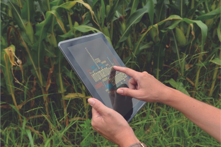 Startups do Agro: o que são, quais os tipos e como investir em uma