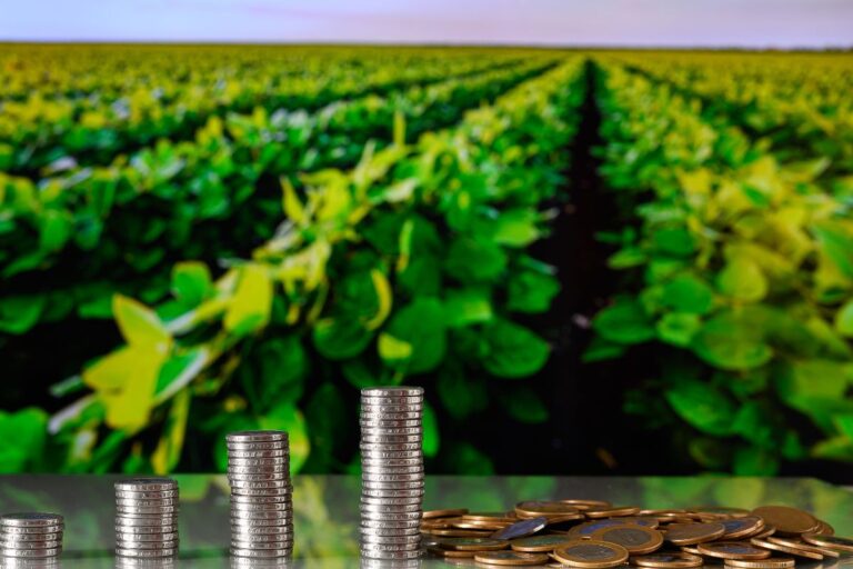 Títulos do agronegócio crescem 26% em 12 meses até maio, para R$ 1,019 tri