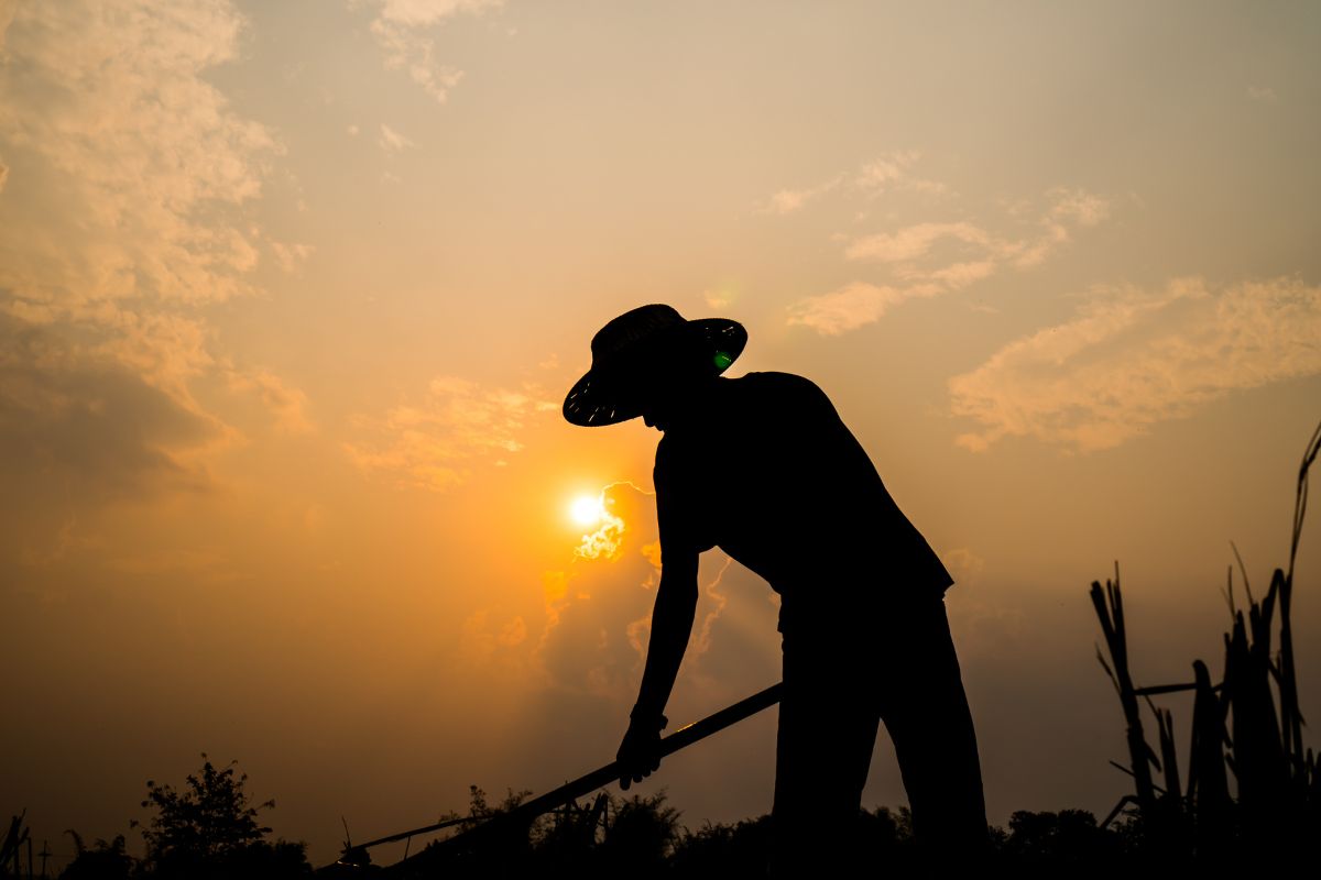 Foto: Adobe Stock