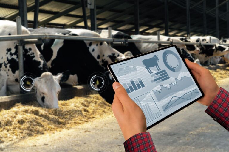 10 megatendências para a pecuária bovina até 2040