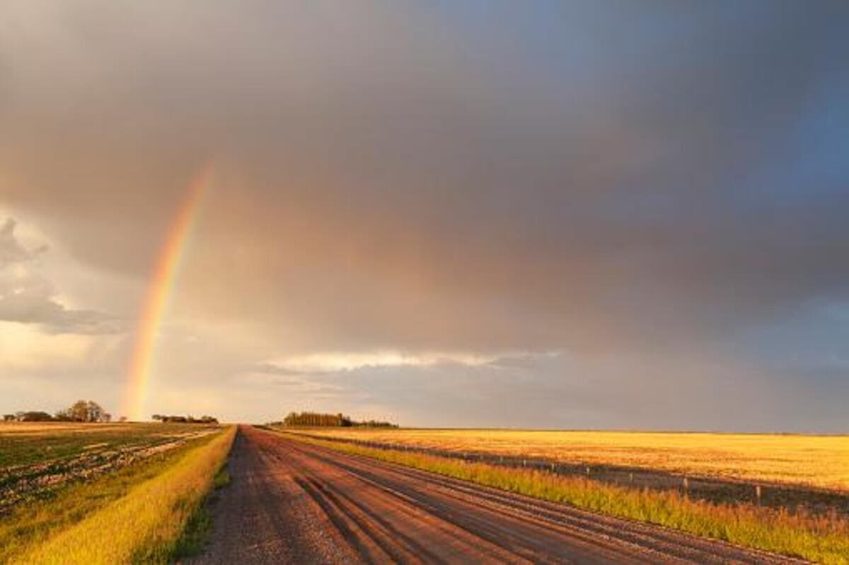 Efeitos da mudança climática para o agronegócio pelo mundo