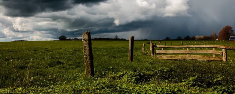 Tecnologias para uma gestão rural eficiente