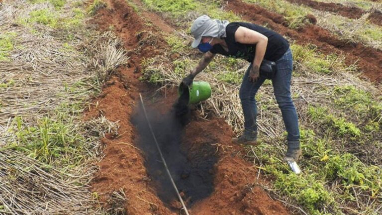 4 benefícios dos biofertilizantes na agricultura