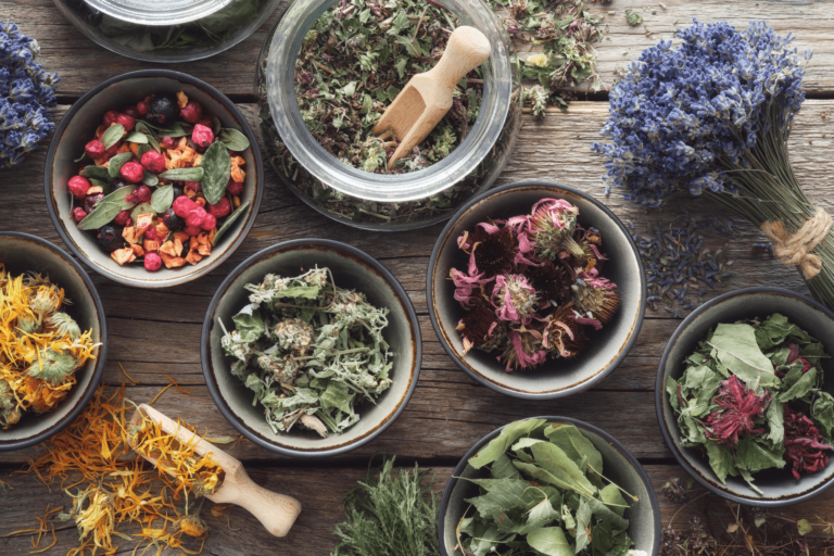 Plantas medicinais: como consumir de forma segura?