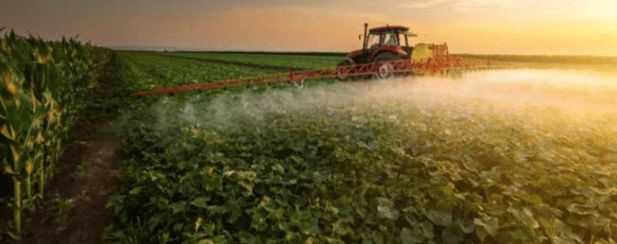 As vantagens do uso de biofungicidas