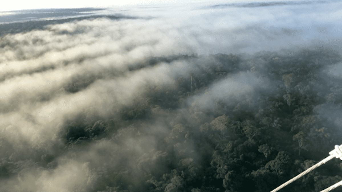 Rio voador: o que é e qual é a importância para o agronegócio?