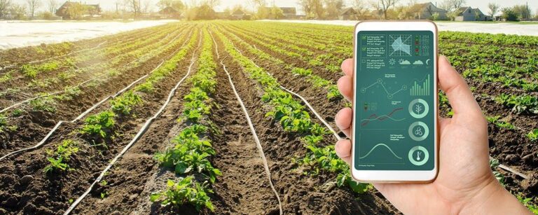 O impacto da tecnologia na cadeia produtiva do agronegócio